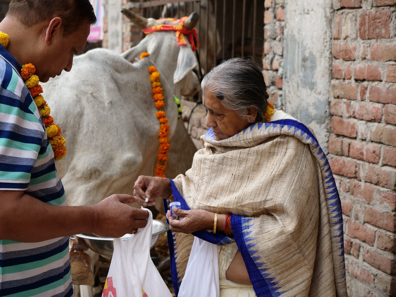  75 Gopashtami Radha kunda Govardhan 19.11.04
